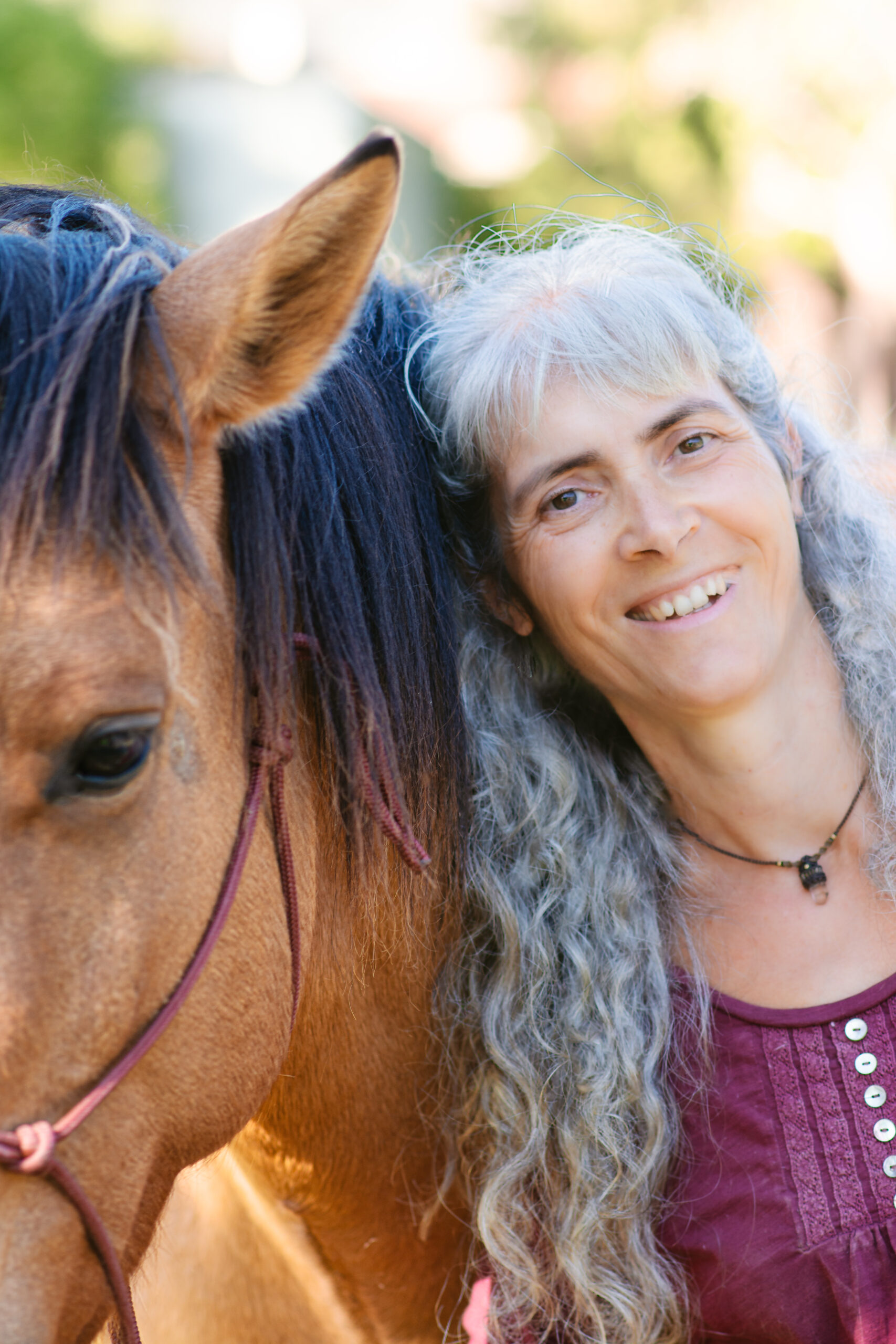 Nathalie Rabotot photographe canin et équin
