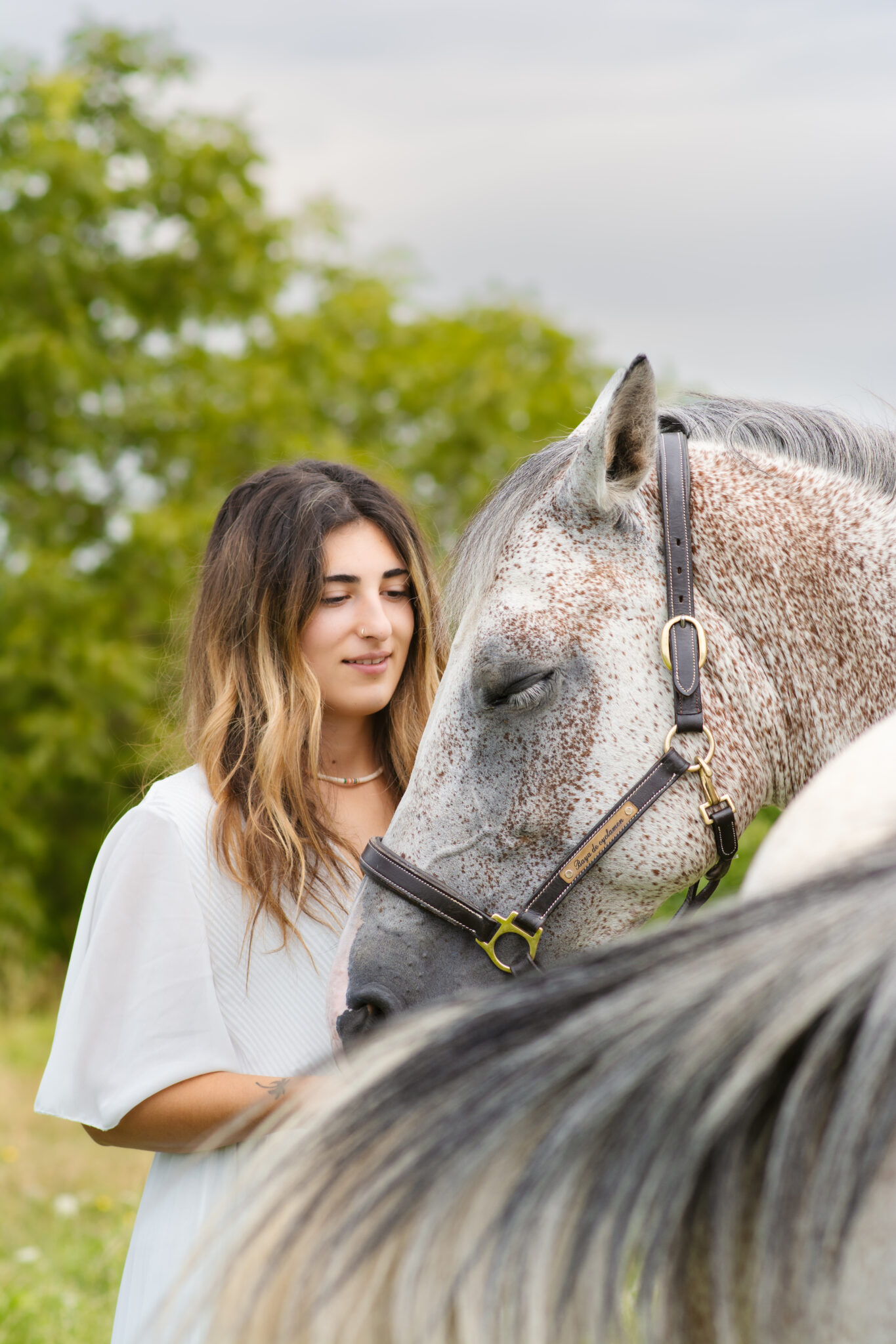 Photographe chevaux en Savoie