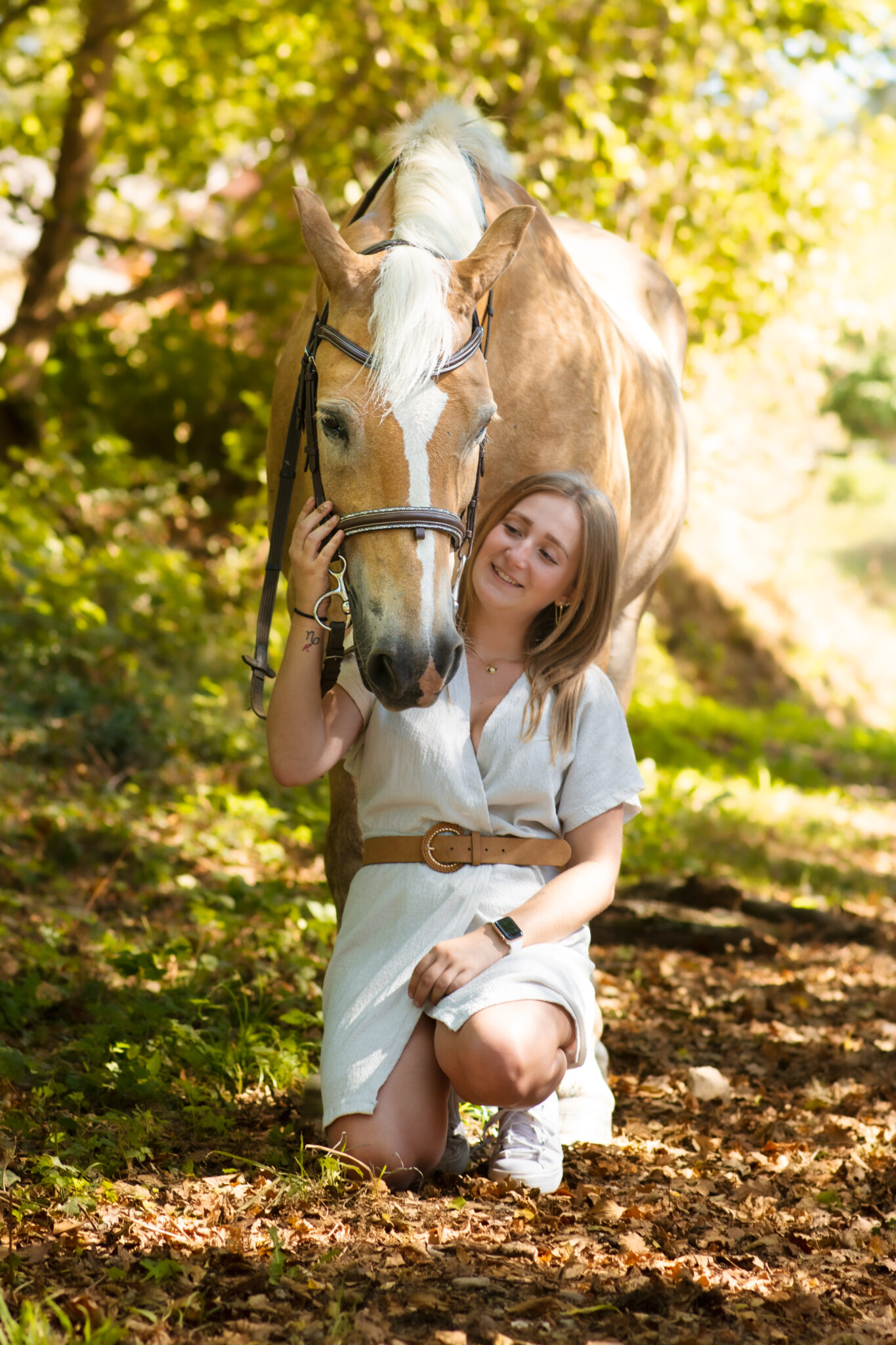 Photographe chevaux en Savoie