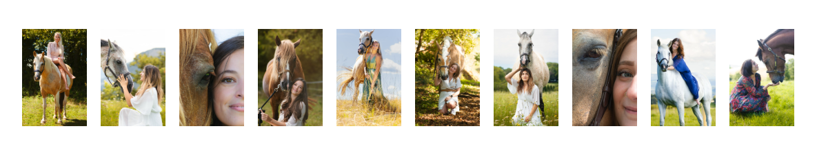 Photographe chevaux en Savoie