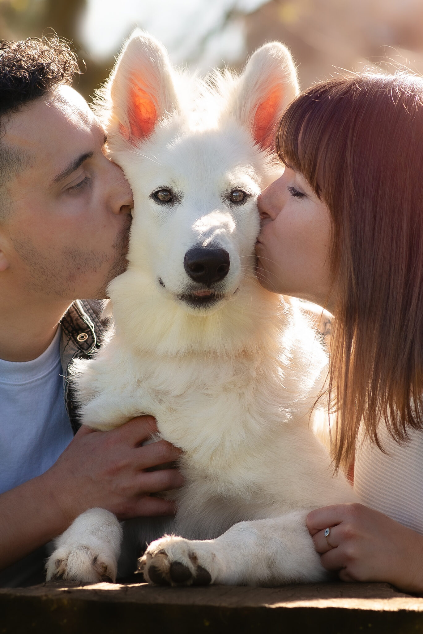 Photographe chien en Savoie