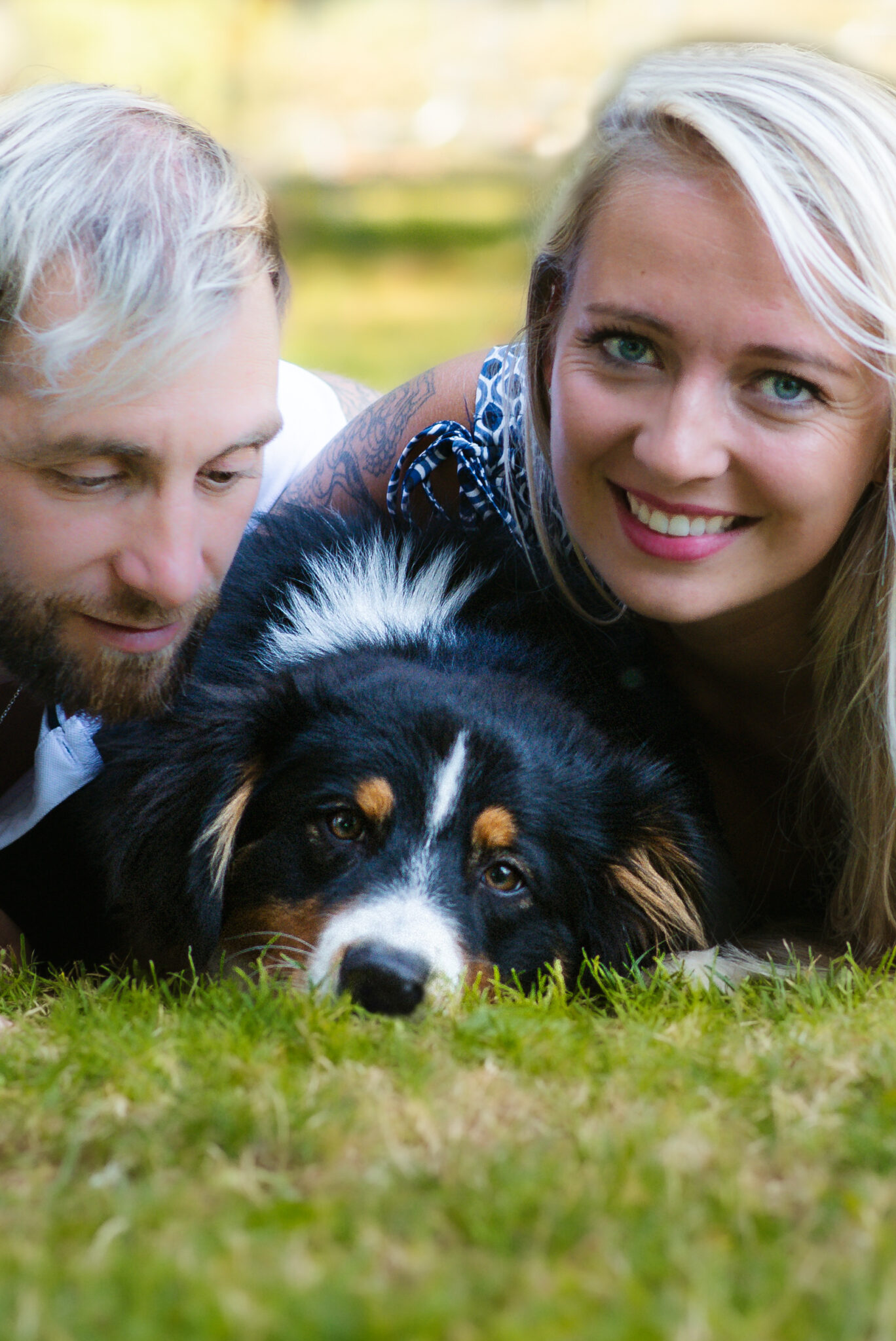 Photographe chien en Savoie