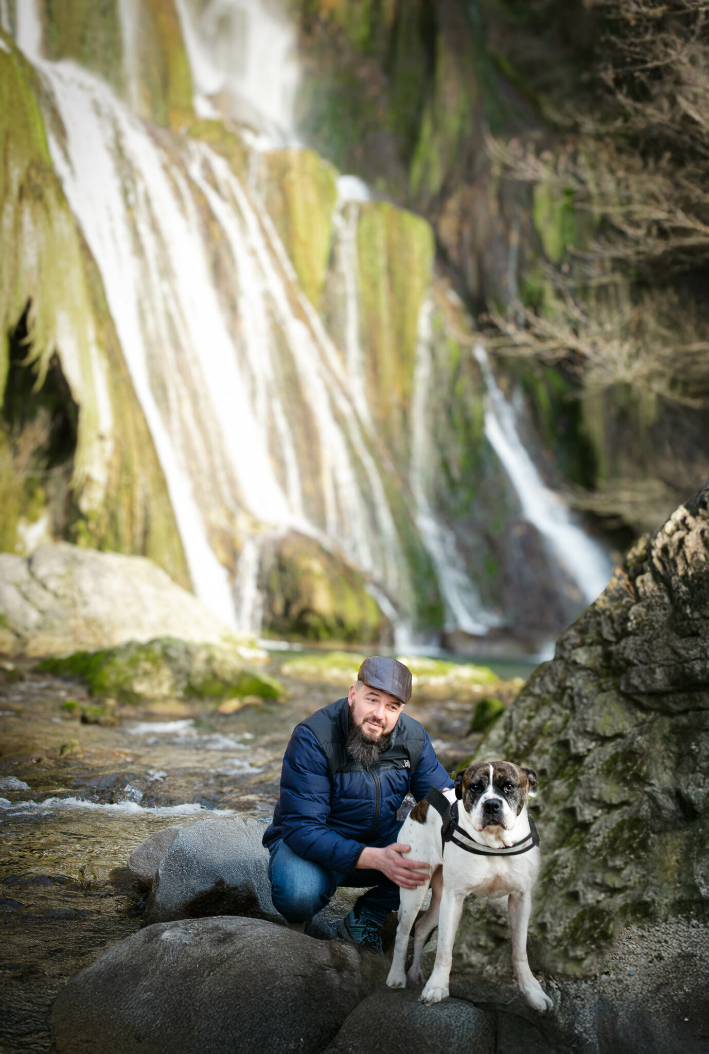 Photographe chien en Savoie